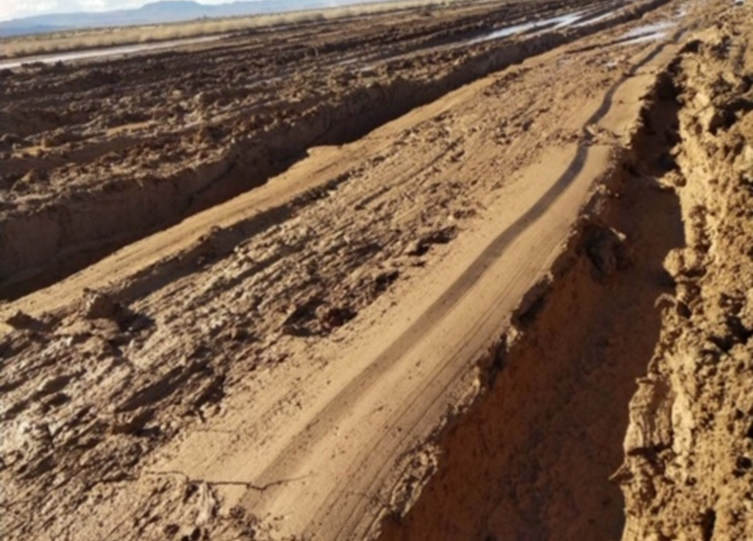 Two deep muddy ruts are left in the desert from car tires.